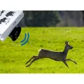 Vildtafskrakker: vildsvin, rave, radyr VIANO (OZ1) PV-400-46 (8)