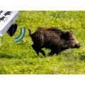 Vildtafskrakker: vildsvin, rave, radyr VIANO (OZ1) PV-400-46 (12)