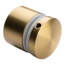 Punktbeslag til glas 8-21,52 mm fi 50/30/M10x40 AISI 304 fladt system guld